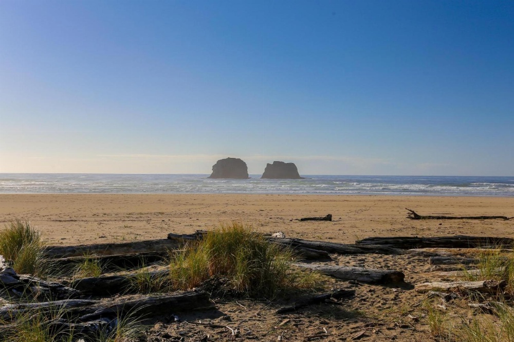 Ocean Rogue Inn Main image